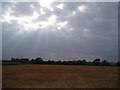 Sunset over crops