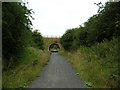 Under the Trimdon Colliery Road