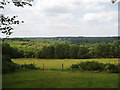 Looking north from Pippingford Park