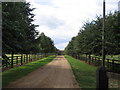 Hailcombe Barns driveway