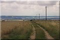 Farm track above Ebberston