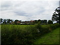 Bungalow and farm buildings near High Roans House