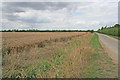 Cliff Lane near Marston, Lincolnshire