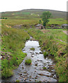 Black Brook by Blackbank Farm