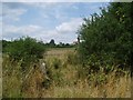 Weald Way footpath