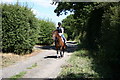 Lane past Tanglewood Stables, Surrey