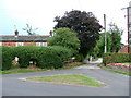 Moss Houses