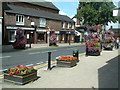 Frodsham in Bloom