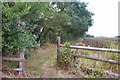 Footpath to Upthorpe