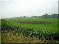 NX3868 : Boggy Patch Near Barclye by Iain Thompson