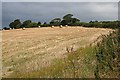 Straw Bales