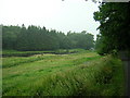 River Cree Near Barclye