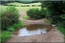 ST2131 : Ford across the bridleway to Broomfield by Barbara Cook