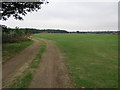 Tracks on a Playing Field