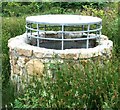 Shaft at Wheal Metal