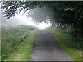 Minor Road in the Mist