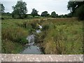 Looking West from Lamphey Mill Bridge