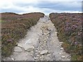 SE9098 : Track on Fylingdales Moor by Oliver Dixon