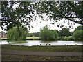 Village Pond, Theydon Bois