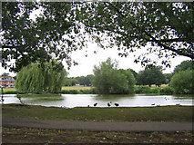 TQ4598 : Village Pond, Theydon Bois by Stephen Craven