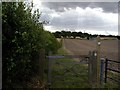 Bridleway off the Overton Road