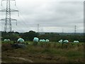 Parallel power lines at Barnwall Farm