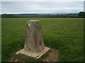 Triangulation pillar on Martin Hill