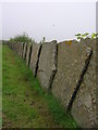 ND3854 : Caithness Flag 'fence' by Ailith Stewart