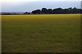 Colne Community School Field