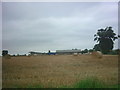 Straw baled in the field