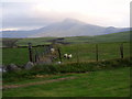 SH8929 : Mountain pasture by Eirian Evans