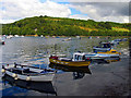 The Looe River