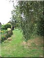 Footpath in Little Billington