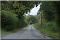 Road alongside Long Wood, Wotton Underwood