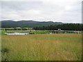 Fishing Pond at Dalveallan