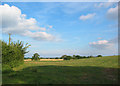 Pasture by church, near Ash Magna