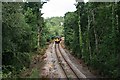 Train on the Looe Valley Railway Line