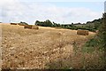 Large Flat Straw Bales