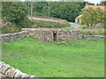 Old sheepfold, Thirley Bank