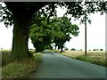 Country lane leading to Little Maplestead, Essex