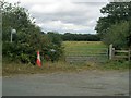 Bridleway, Maddox Moor