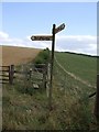 Bridleway & footpath near Lower Farm