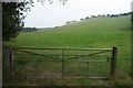 Gate to Field near Wern