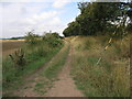 Bridleway to Scaftworth