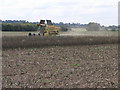 Dusty Harvest