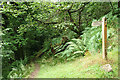 Porlock: footpath to South Terrace