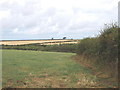 Fields at Trembleathe Barton, St Ervan