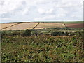 SW9266 : Fields by Winnards Perch roundabout, near St Columb Major by David Hawgood