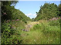 Course of old Cumbernauld to Glasgow road