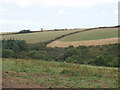 Fields at Trenance, view to St Issey